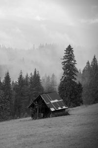 Preview wallpaper house, forest, trees, fog, nature, black and white