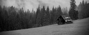 Preview wallpaper house, forest, trees, fog, nature, black and white