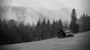 Preview wallpaper house, forest, trees, fog, nature, black and white