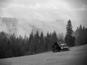 Preview wallpaper house, forest, trees, fog, nature, black and white