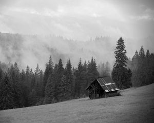 Preview wallpaper house, forest, trees, fog, nature, black and white