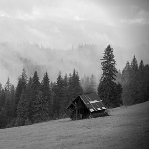 Preview wallpaper house, forest, trees, fog, nature, black and white