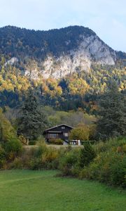 Preview wallpaper house, forest, trees, mountains, landscape