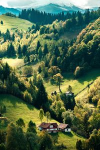 Preview wallpaper house, forest, village, trees, hills