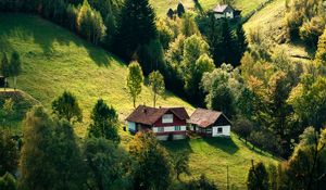 Preview wallpaper house, forest, village, trees, hills