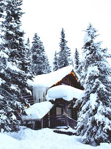 Preview wallpaper house, forest, winter, snow