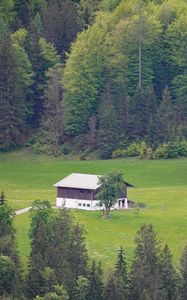 Preview wallpaper house, glade, forest, trees, nature, landscape