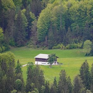 Preview wallpaper house, glade, forest, trees, nature, landscape