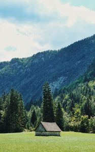 Preview wallpaper house, glade, trees, forest, mountains