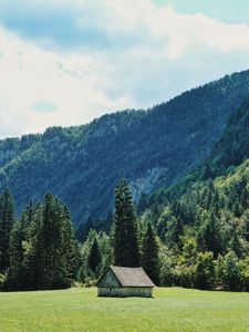 Preview wallpaper house, glade, trees, forest, mountains