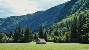 Preview wallpaper house, glade, trees, forest, mountains