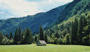 Preview wallpaper house, glade, trees, forest, mountains