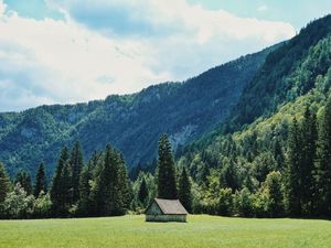 Preview wallpaper house, glade, trees, forest, mountains