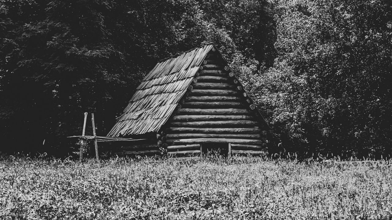 Wallpaper house, grass, trees, nature, black and white