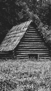 Preview wallpaper house, grass, trees, nature, black and white