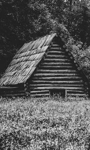 Preview wallpaper house, grass, trees, nature, black and white