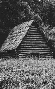 Preview wallpaper house, grass, trees, nature, black and white