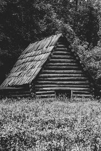 Preview wallpaper house, grass, trees, nature, black and white