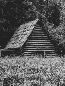 Preview wallpaper house, grass, trees, nature, black and white