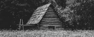 Preview wallpaper house, grass, trees, nature, black and white