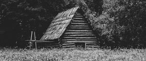 Preview wallpaper house, grass, trees, nature, black and white