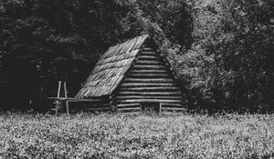 Preview wallpaper house, grass, trees, nature, black and white