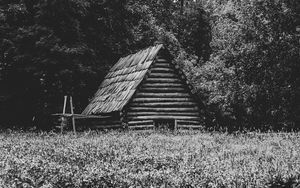 Preview wallpaper house, grass, trees, nature, black and white