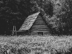Preview wallpaper house, grass, trees, nature, black and white
