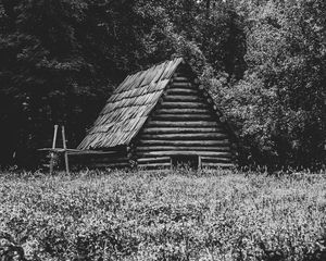 Preview wallpaper house, grass, trees, nature, black and white