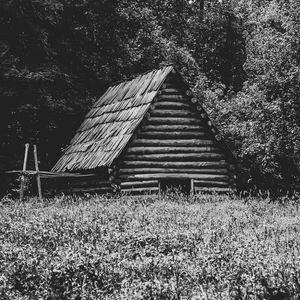 Preview wallpaper house, grass, trees, nature, black and white
