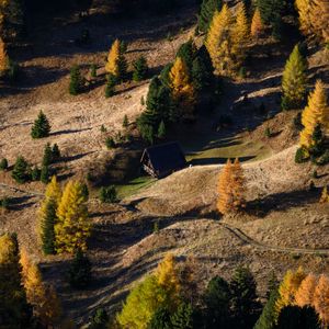 Preview wallpaper house, hills, trees, aerial view