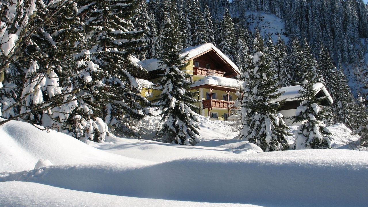 Wallpaper house, hotel, fur-trees, coniferous, snowdrifts, snow, trees