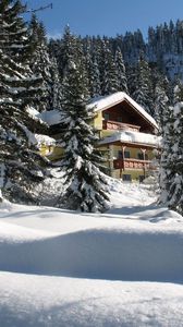 Preview wallpaper house, hotel, fur-trees, coniferous, snowdrifts, snow, trees