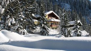 Preview wallpaper house, hotel, fur-trees, coniferous, snowdrifts, snow, trees