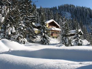 Preview wallpaper house, hotel, fur-trees, coniferous, snowdrifts, snow, trees