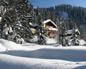 Preview wallpaper house, hotel, fur-trees, coniferous, snowdrifts, snow, trees