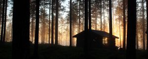 Preview wallpaper house, hut, forest, rays, trees