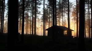 Preview wallpaper house, hut, forest, rays, trees