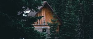 Preview wallpaper house, hut, spruce, branches, forest