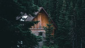Preview wallpaper house, hut, spruce, branches, forest