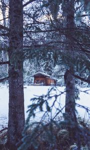 Preview wallpaper house, hut, trees, winter, snow