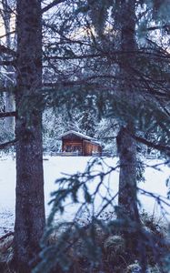 Preview wallpaper house, hut, trees, winter, snow