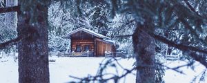 Preview wallpaper house, hut, trees, winter, snow