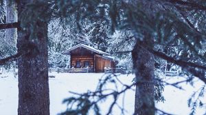 Preview wallpaper house, hut, trees, winter, snow