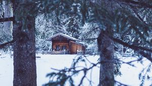 Preview wallpaper house, hut, trees, winter, snow