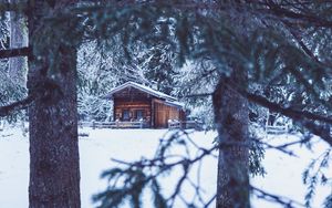 Preview wallpaper house, hut, trees, winter, snow
