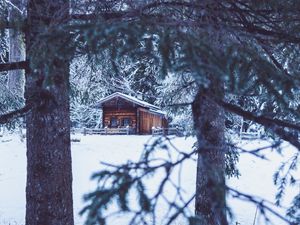 Preview wallpaper house, hut, trees, winter, snow