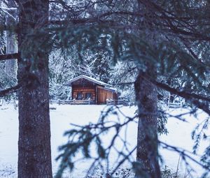 Preview wallpaper house, hut, trees, winter, snow