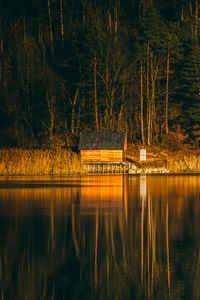 Preview wallpaper house, lake, reflection, forest