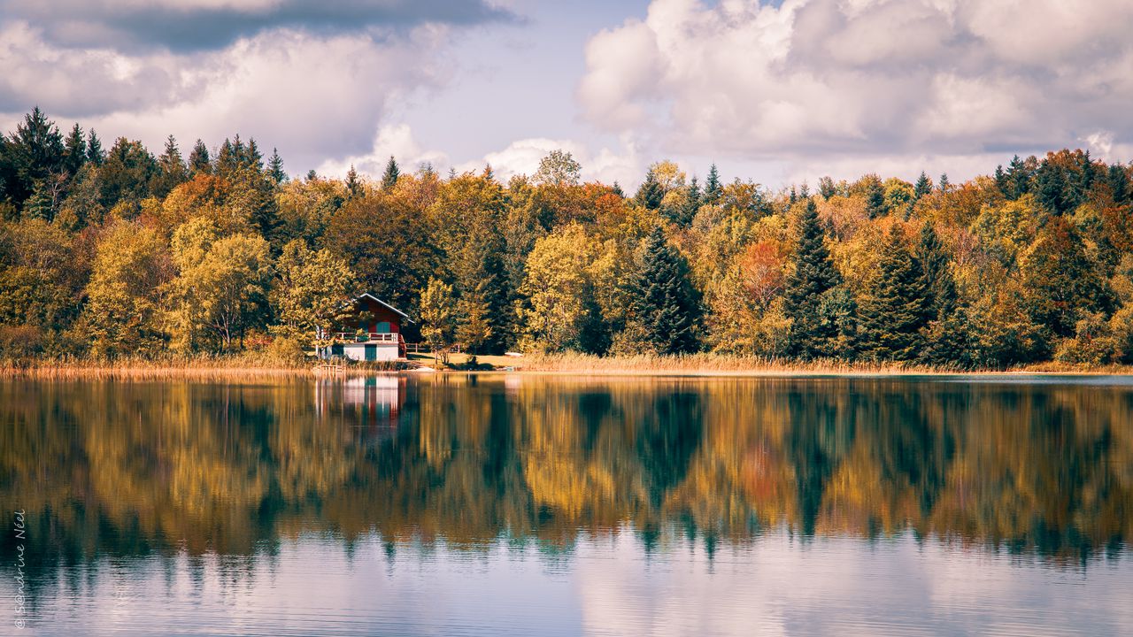 Wallpaper house, lake, trees, reflection, nature